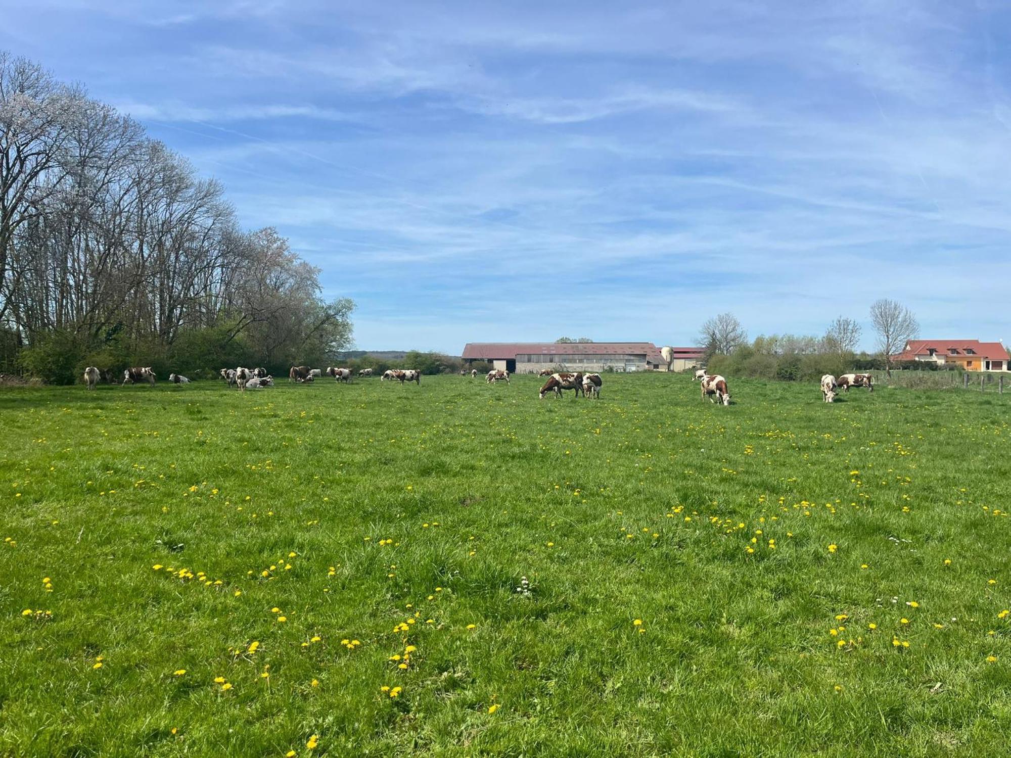 Studio Au Coeur De La Vannerie Fays-Billot Eksteriør billede